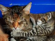 348904639_594450372750549_5238494686004574605_n