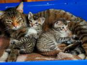 349008964_647117266752708_6938584194948316889_n