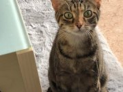 374739483_691227503041845_3964789239211154667_n