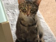 375319252_691227499708512_503522273591168889_n