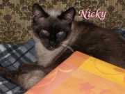 nicky