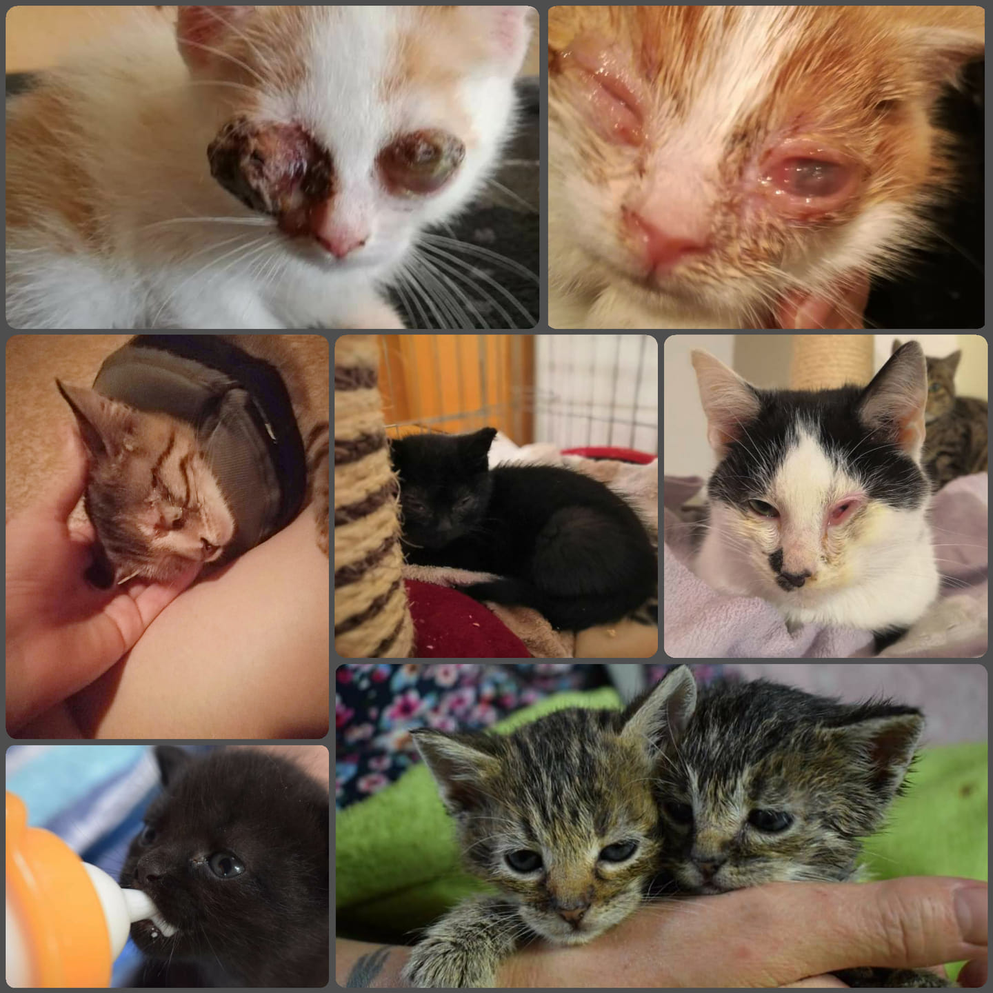 Wir suchen neue Mitglieder für unseren Verein