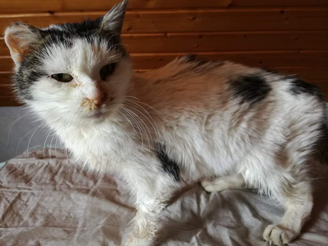 Omi Resi ist leider verstorben :(