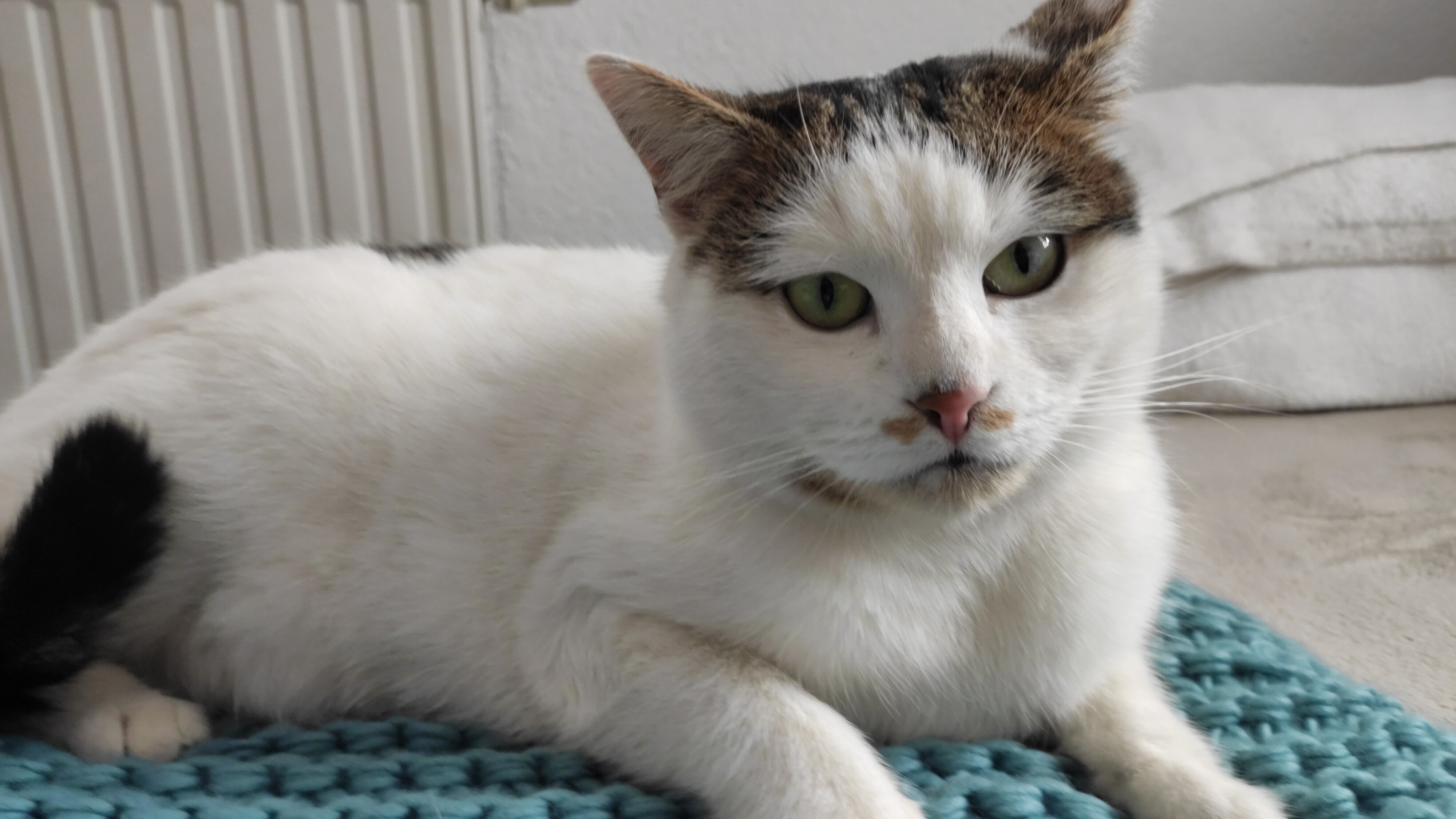 Amy wird vermisst in 97464