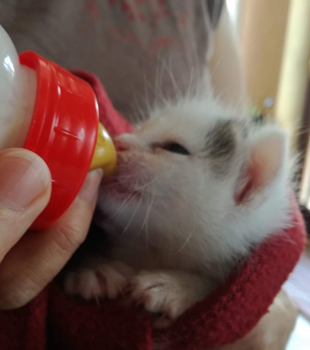 Danke an alle unsere Spender