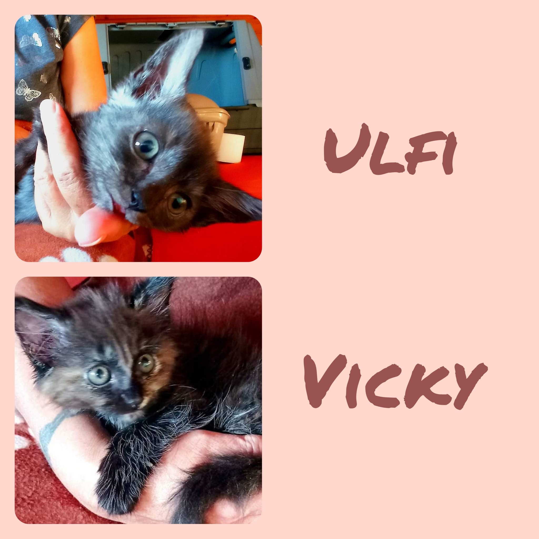 Ulfi und Vicky auf dem Weg der Besserung