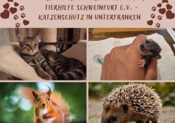 Versteigerungsseite bei Facebook, schaut einfach vorbei