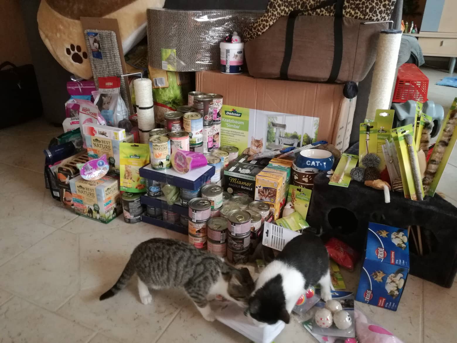 Weihnachtsbaumaktion Gartencenter Dehner