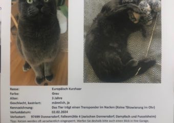 Salem wird in 97499 Donnersdorf vermisst