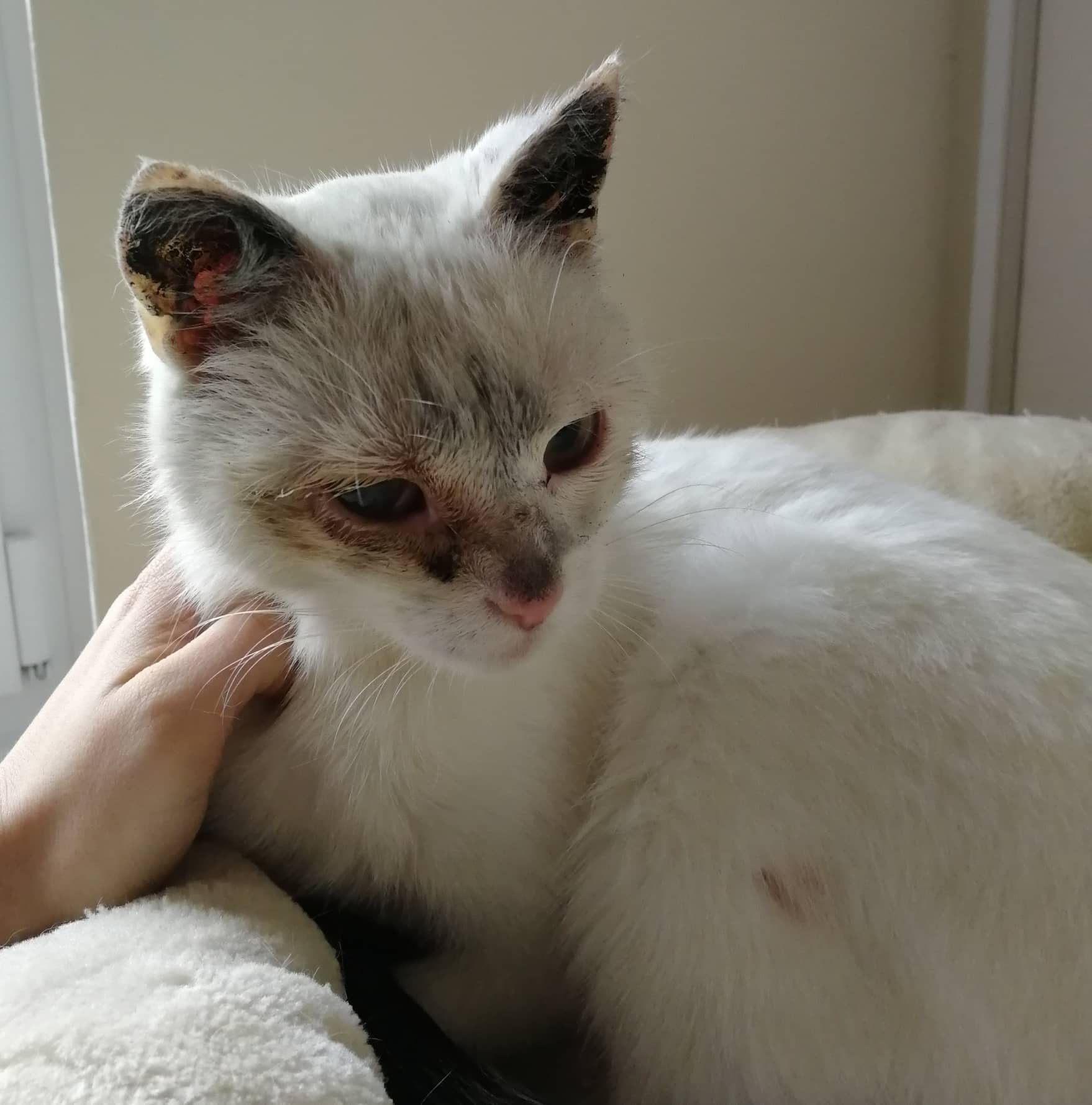 Die Chance auf ein neues Leben…