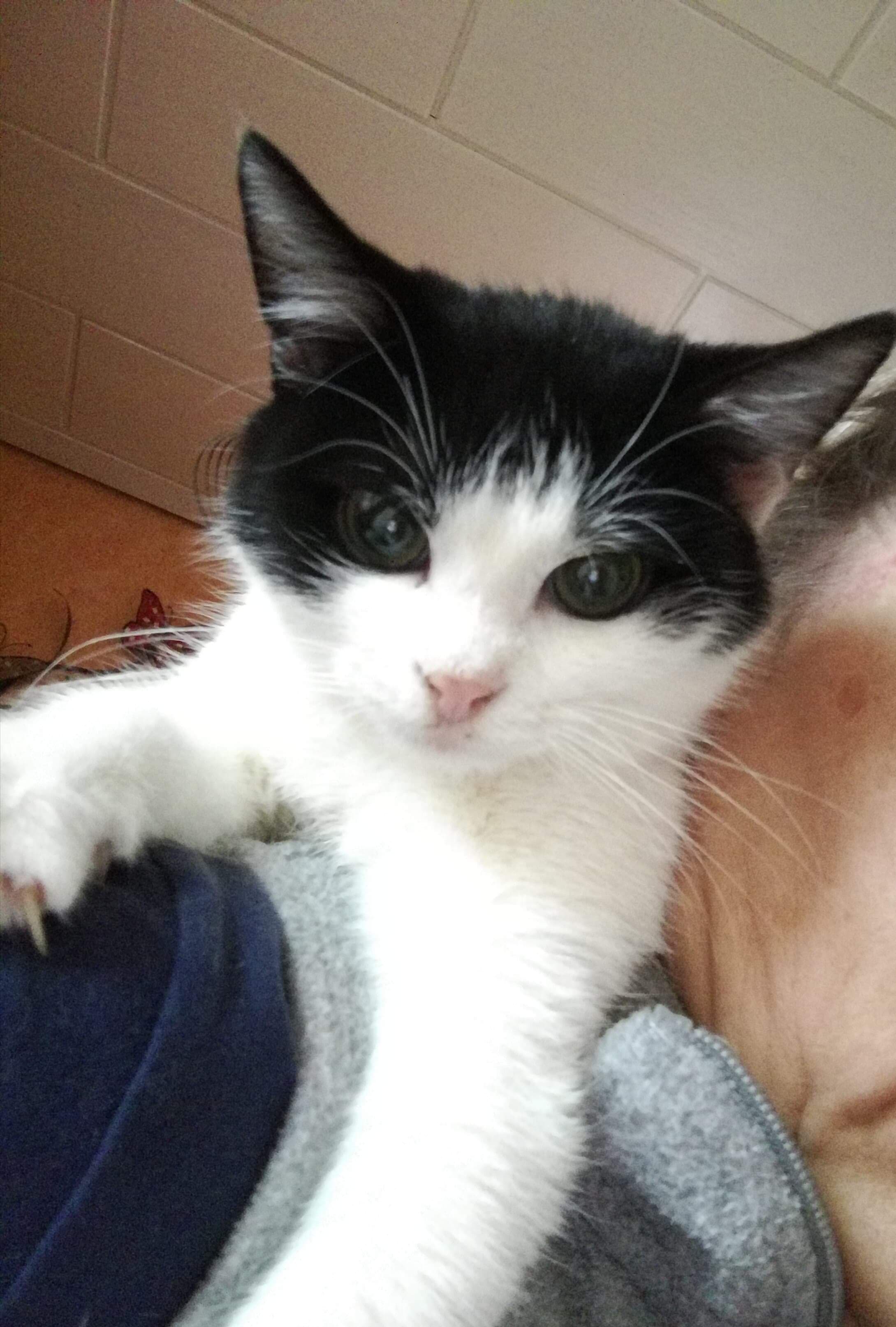 Pflegedosi beklaut :-)