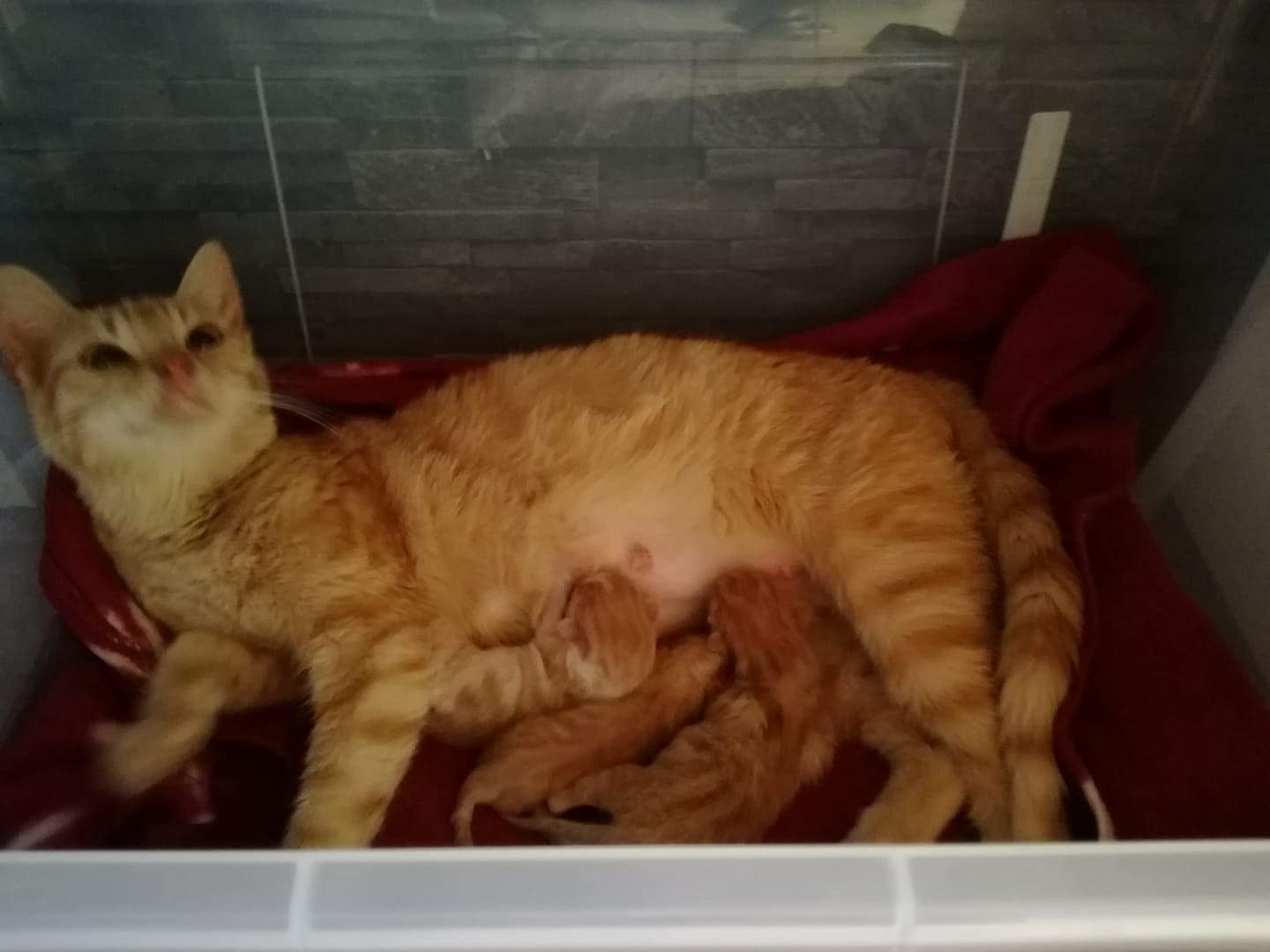 Update von Winnie und ihren Babys