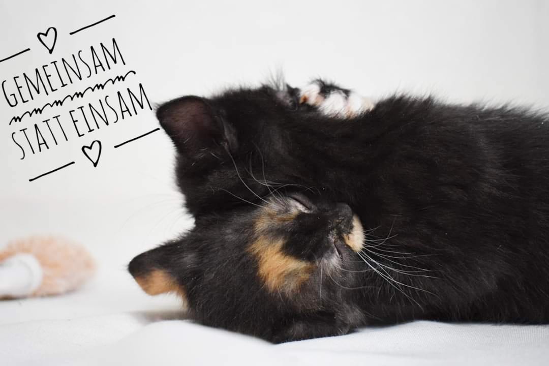 Gemeinsam statt Einsam