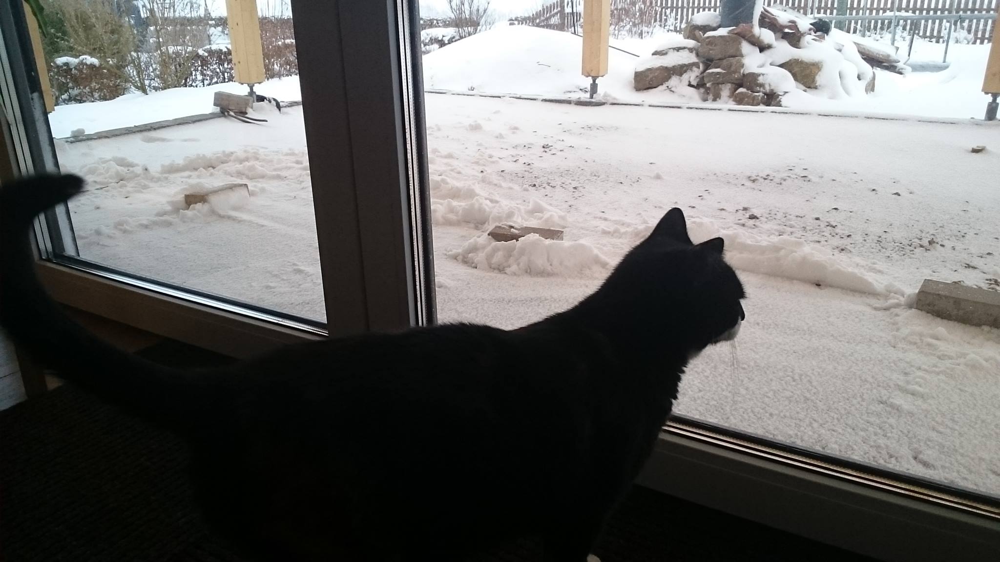 Alice (Elli) schickt schöne Grüße aus dem neuen Zuhause