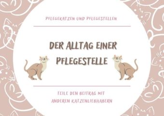 Aus dem Alltag einer Pflegestelle