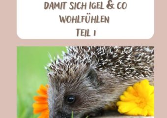 Brownie wills wissen – Gartengestaltung für heimische Tiere Teil 1