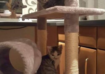 Ella und Finnley auf Pflegestelle eingezogen