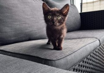 -vermittelt- Emma geb.06/22 aufgeschlossener Wirbelwind sucht