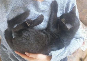 Tipp zum Heizkosten sparen