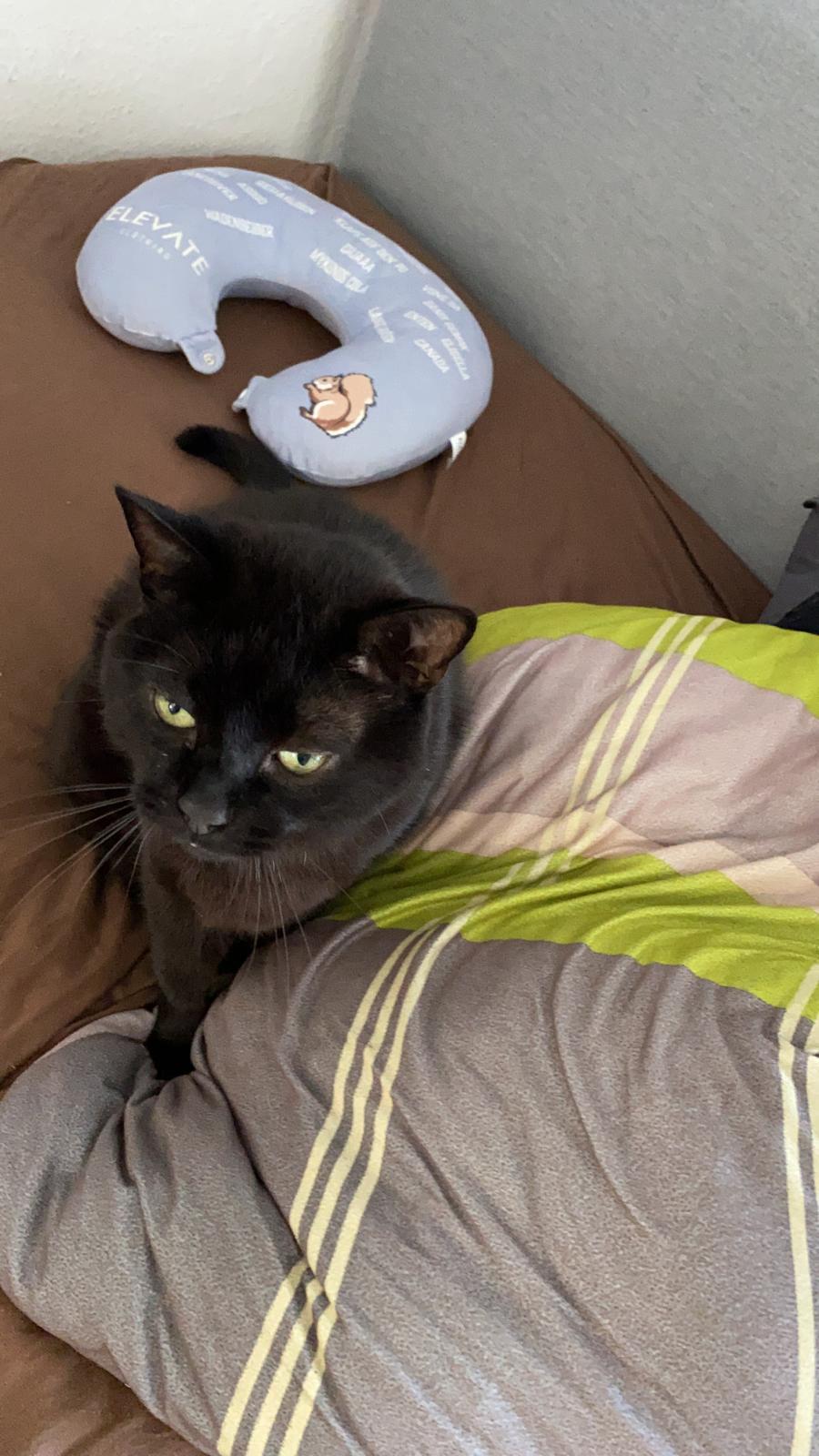 Luna word in 97508 Untereuerheim