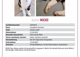 **Vermisst: Kater Nicki seit dem 15.09.2023 in Dittelbrunn**