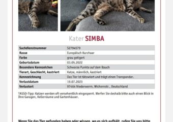 Kater Simba in 97464 Niederwerrn vermisst.