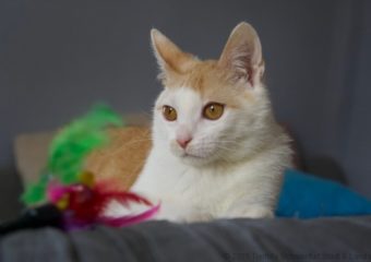 -vermittelt- sozialer Legolas (*geb. 09/21) immer mit dabei