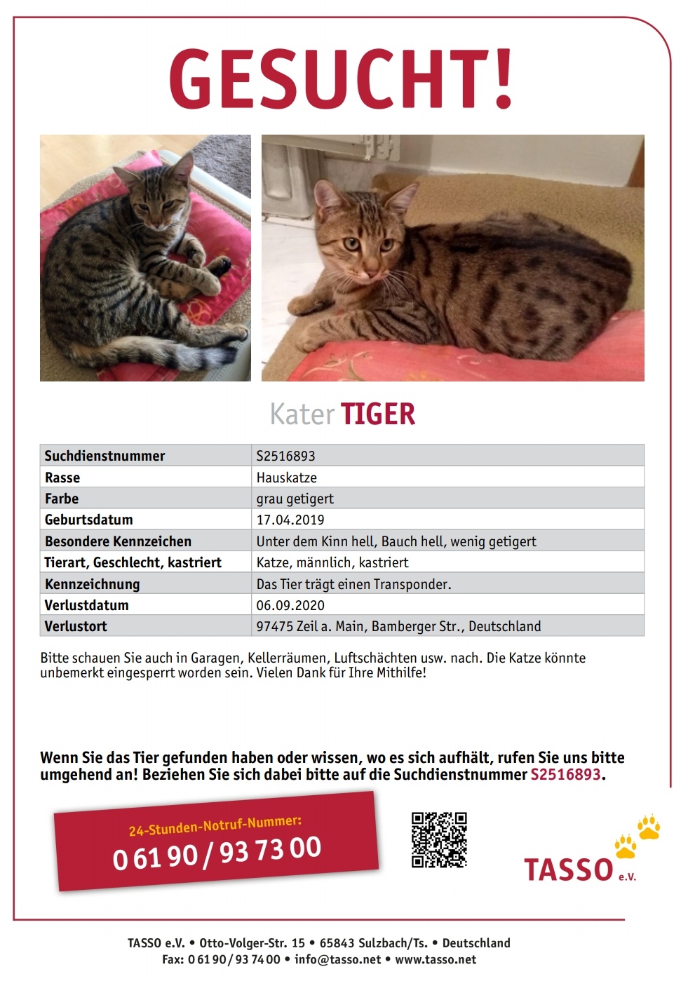 Tiger wird in 97475 Zeil am Mail vermisst