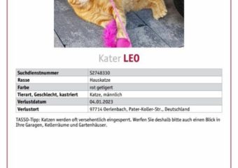 Leo in Oerlenbach entlaufen