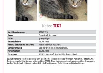 Tiki vermisst seit 13.01.23 in 96123 vermisst