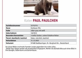 Paulchen Vermisst in 97488 Oberlauringen