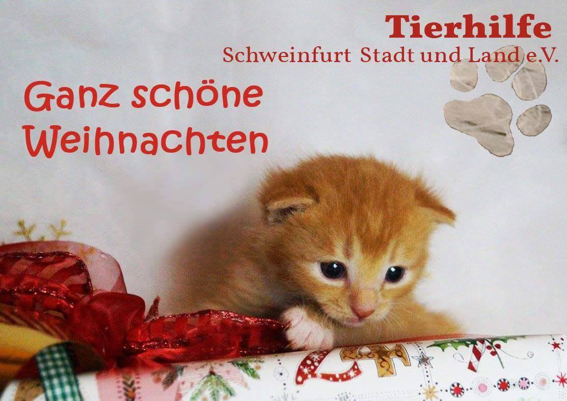 wunderschöne Karten zugunsten unserer „Not-Fellchen“ zu verkaufen