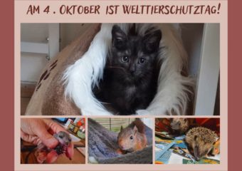 Welttierschutztag
