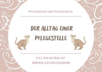Der Alltag einer Pflegestelle Teil 3