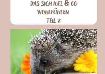 Brownie will es wissen