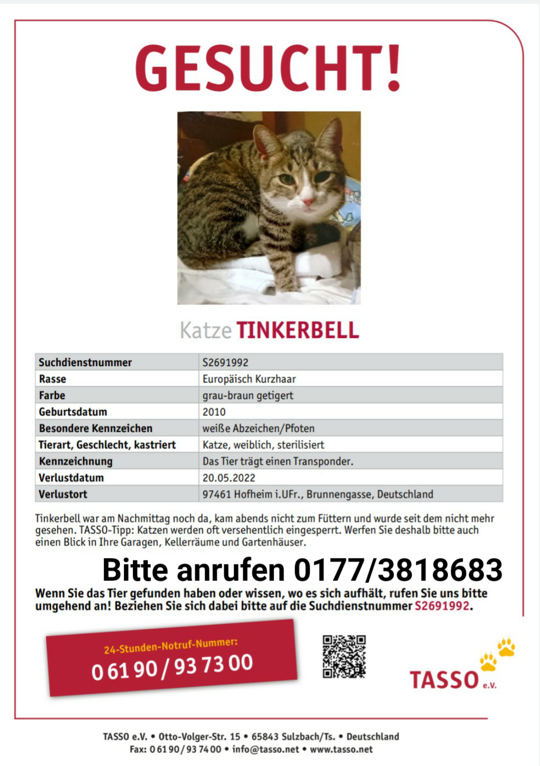 Katze in 97461 Hofheim in Unterfranken  vermisst