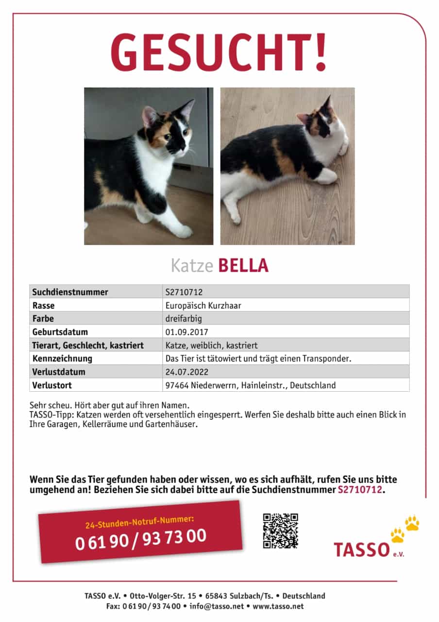 Katze Belladonna wird in 97464 Niederwerrn vermisst!