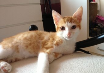 Justin grüßt aus Nürnberg