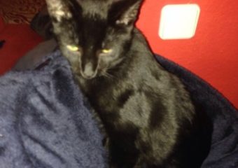 Nero grüßt aus Gerolzhofen