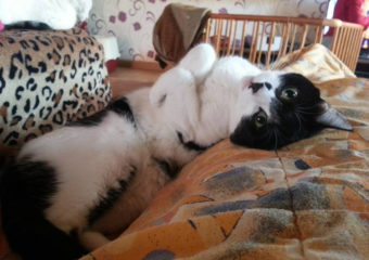 -vermittelt- Lilly – wo darf ich ankommen? *reserviert*