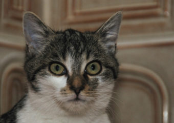 Cassy und Marie – Post aus dem neuen zu Hause