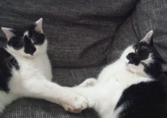 Max geht´s richtig gut