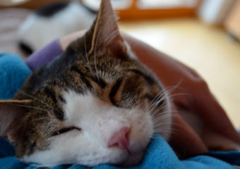 Sozialer Mick – schon lange auf der Suche