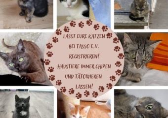 Registrierung von Haustieren bei Tasso